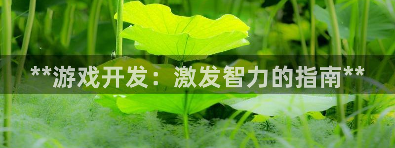 沐鸣2平台代理注册