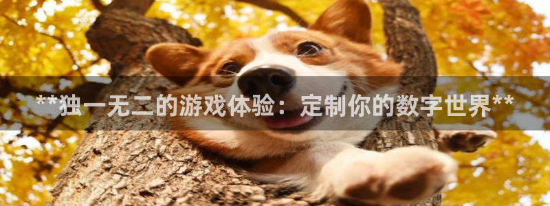 沐鸣2首页登录
