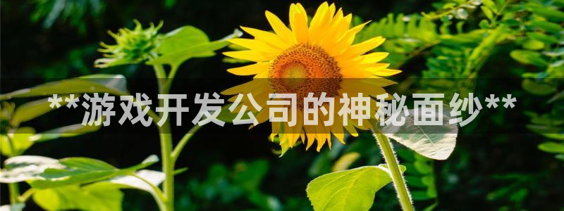 沐鸣2平台在线注册