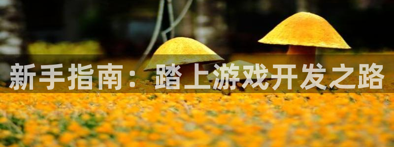 沐鸣娱乐2黑客户吗
