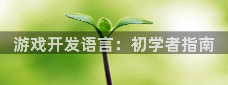 沐鸣2平台代理