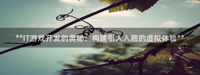 沐鸣娱乐2是干嘛的