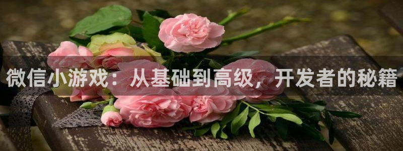 沐鸣2官方：微信小游戏：从基础到高级，开发者的秘籍