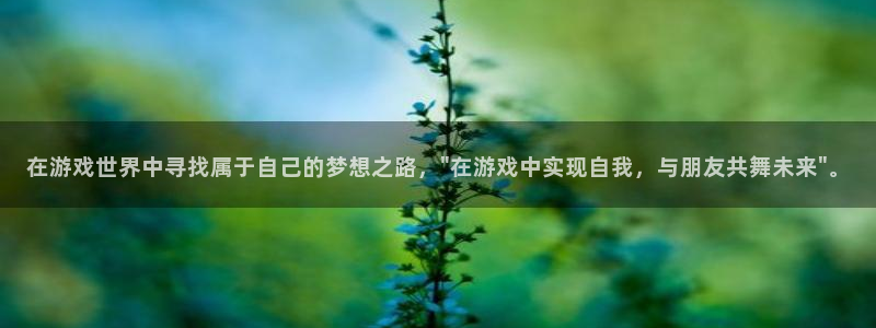 沐鸣2平台代理：在游戏世界中寻找属于自己的梦想之路，\