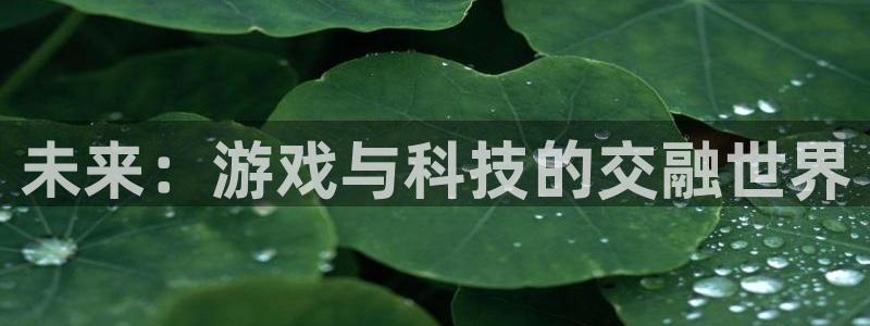 沐鸣娱乐2是正规平台么：未来：游戏与科技的交融世界