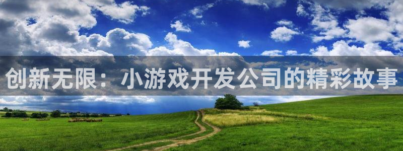 沐鸣娱乐2输钱了：创新无限：小游戏开发公司的精彩故事