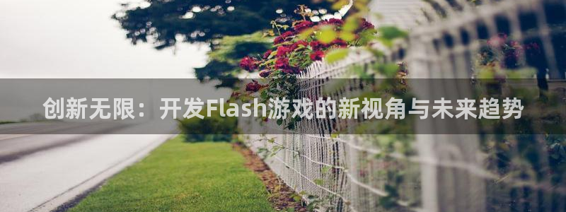沐鸣2平台代理注册：创新无限：开发Flash游戏的新视角与未来趋势