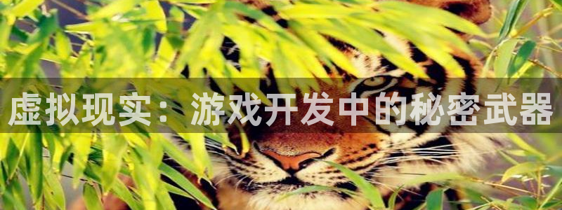 沐鸣2注册说来77542：虚拟现实：游戏开发中的秘密武器