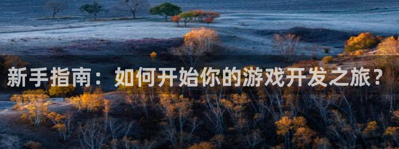 沐鸣娱乐2手机下载破解版：新手指南：如何开始你的游戏开发之旅？