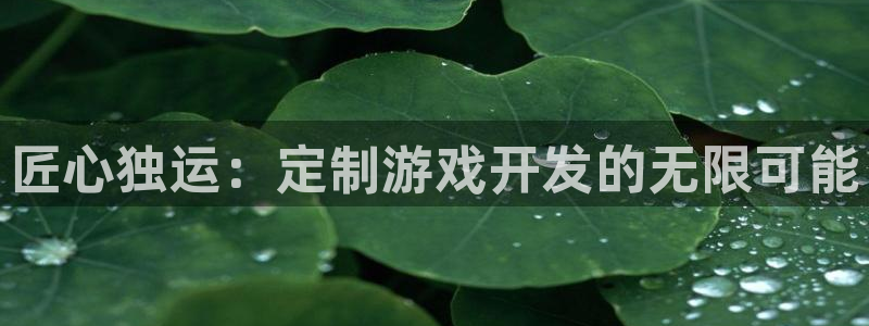 沐鸣2娱乐平台登录客服：匠心独运：定制游戏开发的无限可能