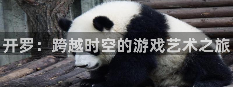 沐鸣娱乐2注册官网：开罗：跨越时空的游戏艺术之旅