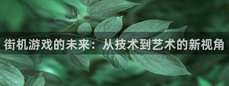 沐鸣娱乐2的分分彩：街机游戏的未来：从技术到艺术的新视角